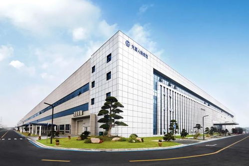 這一代新中產為何青睞技術服務