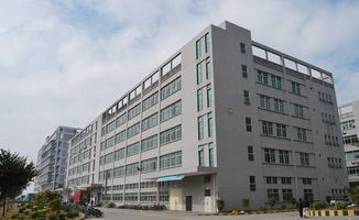 鳳岡泰川麻將機10周年慶，特價988元，驚喜大獎等你來抽！